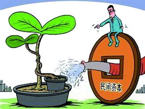 社會資本給力文化產(chǎn)業(yè)與社會經(jīng)濟咨詢服務