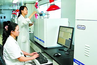 河南以網絡技術服務驅動食品出口升級，九項措施精準應對新挑戰